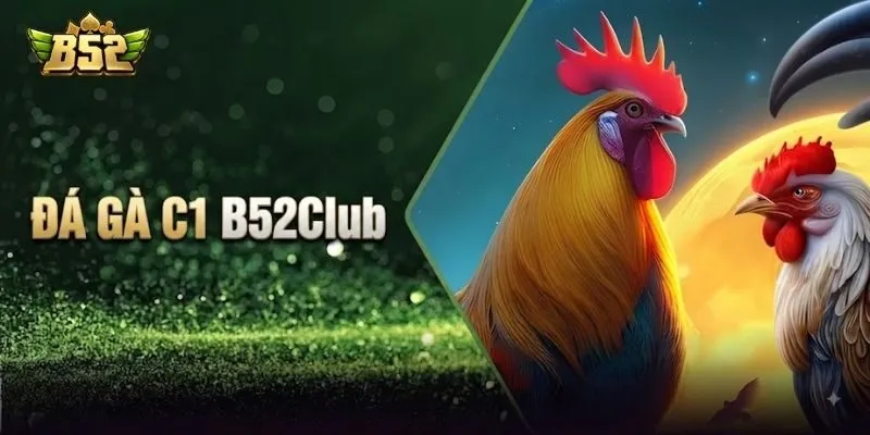Tổng quan về sảnh đá gà C1 B52Club